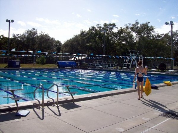 AI Powers Swimming into the World of Decentralization